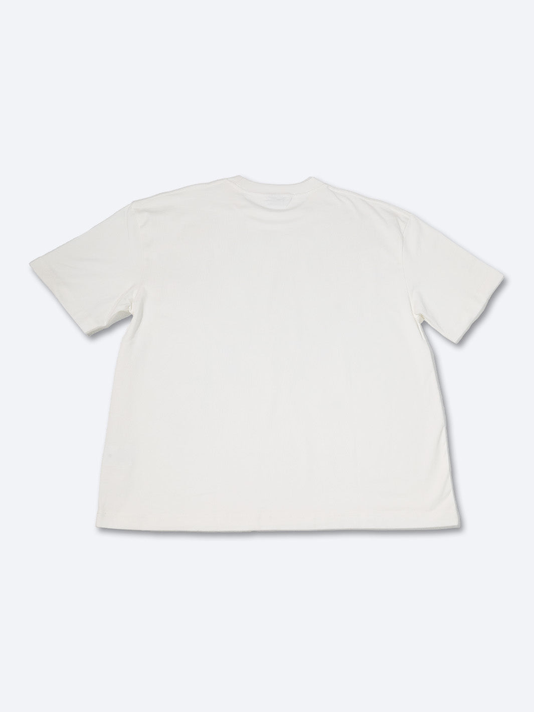 STAY CURIOUS CYCLE TEE