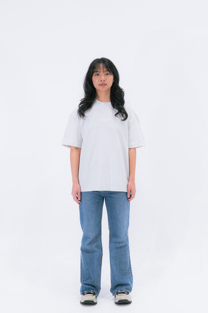 STAY CURIOUS FISHEYE BOXY TEE - PEBBLE